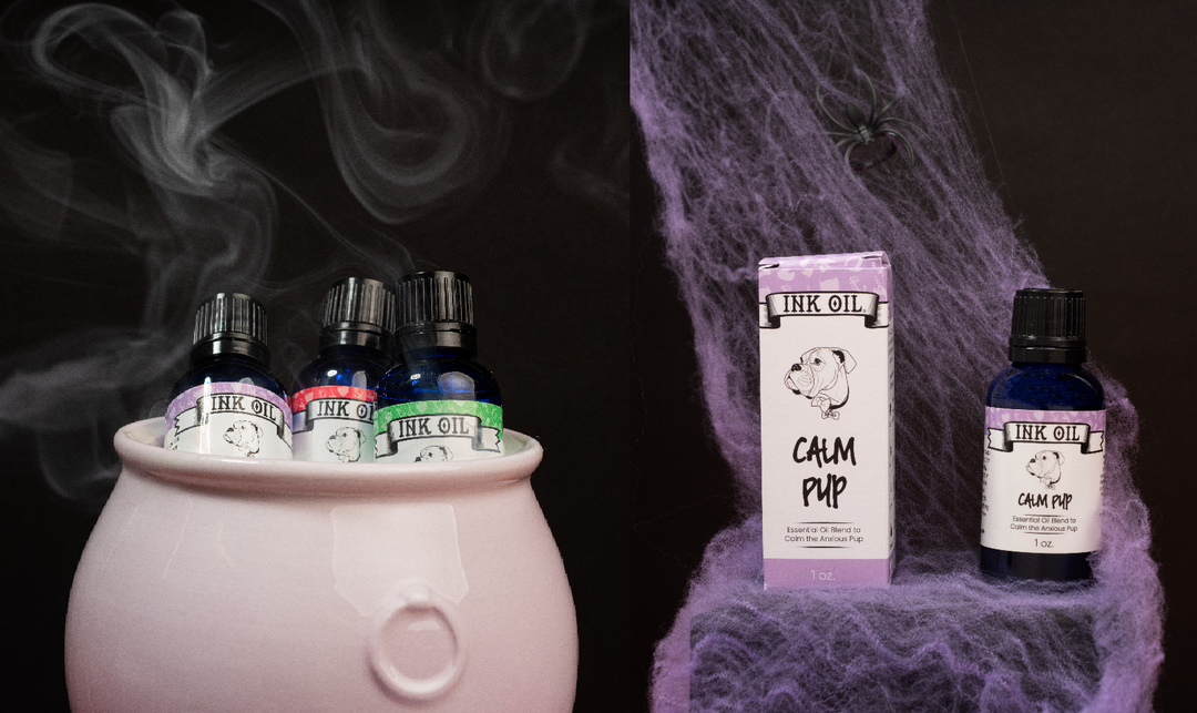 Keep the Spooks at Bay: Helping Your Dog Stay Calm This Halloween