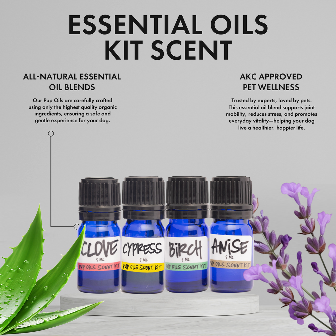 AKC Scent Training Kit / Scent Work for Dogs / Become a AKC Champion