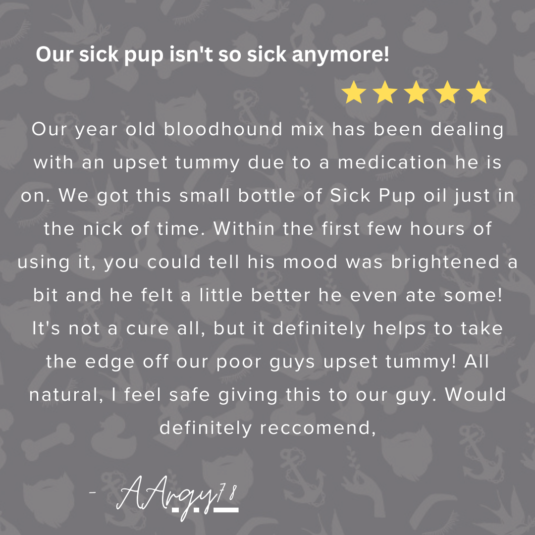Sick-Pup-Essential-Oils-for-Dogs