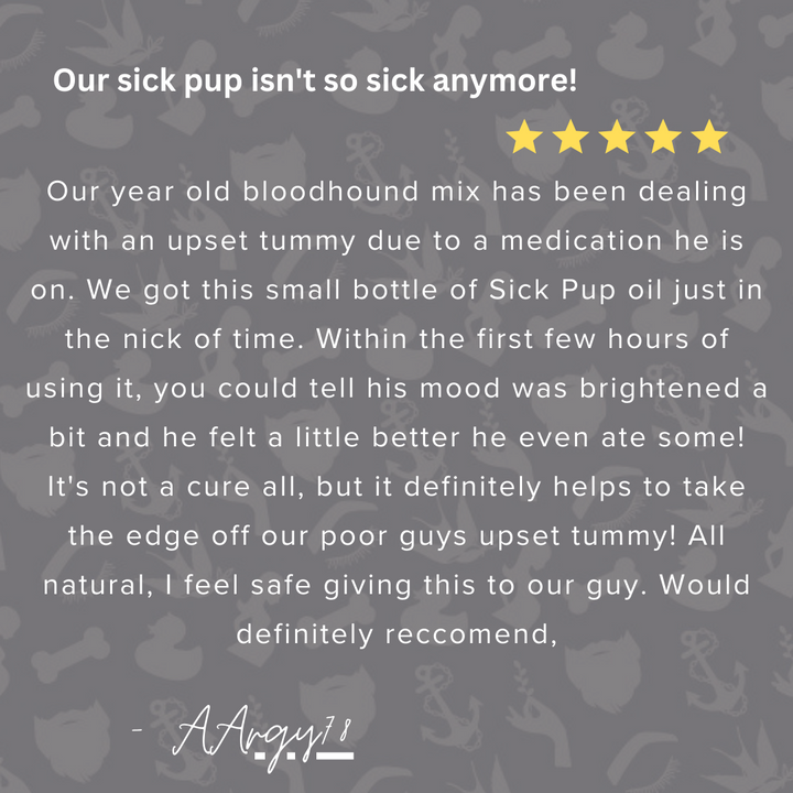 Sick-Pup-Essential-Oils-for-Dogs