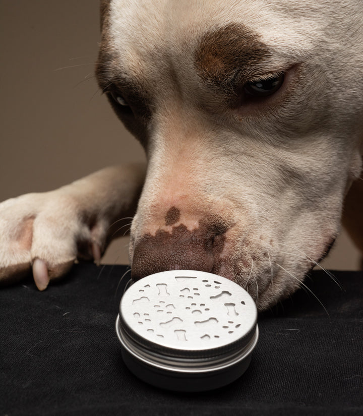 Scent Kit Refill Oils - Dog Training Scent Kits