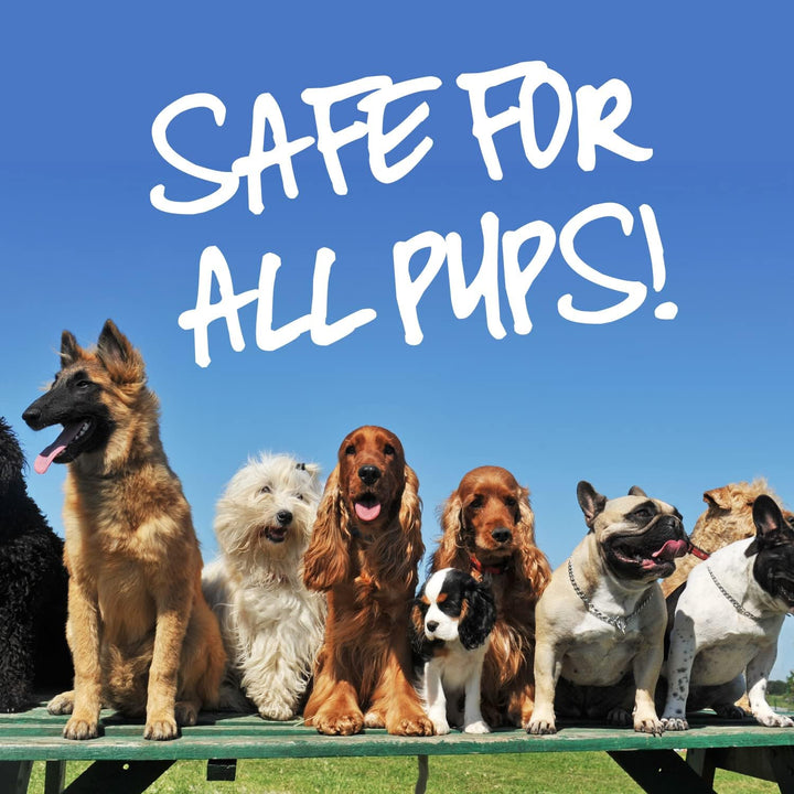 Safe for All Pups