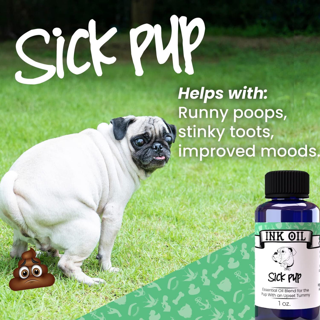 Sick-Pup-Essential-Oils-for-Dogs