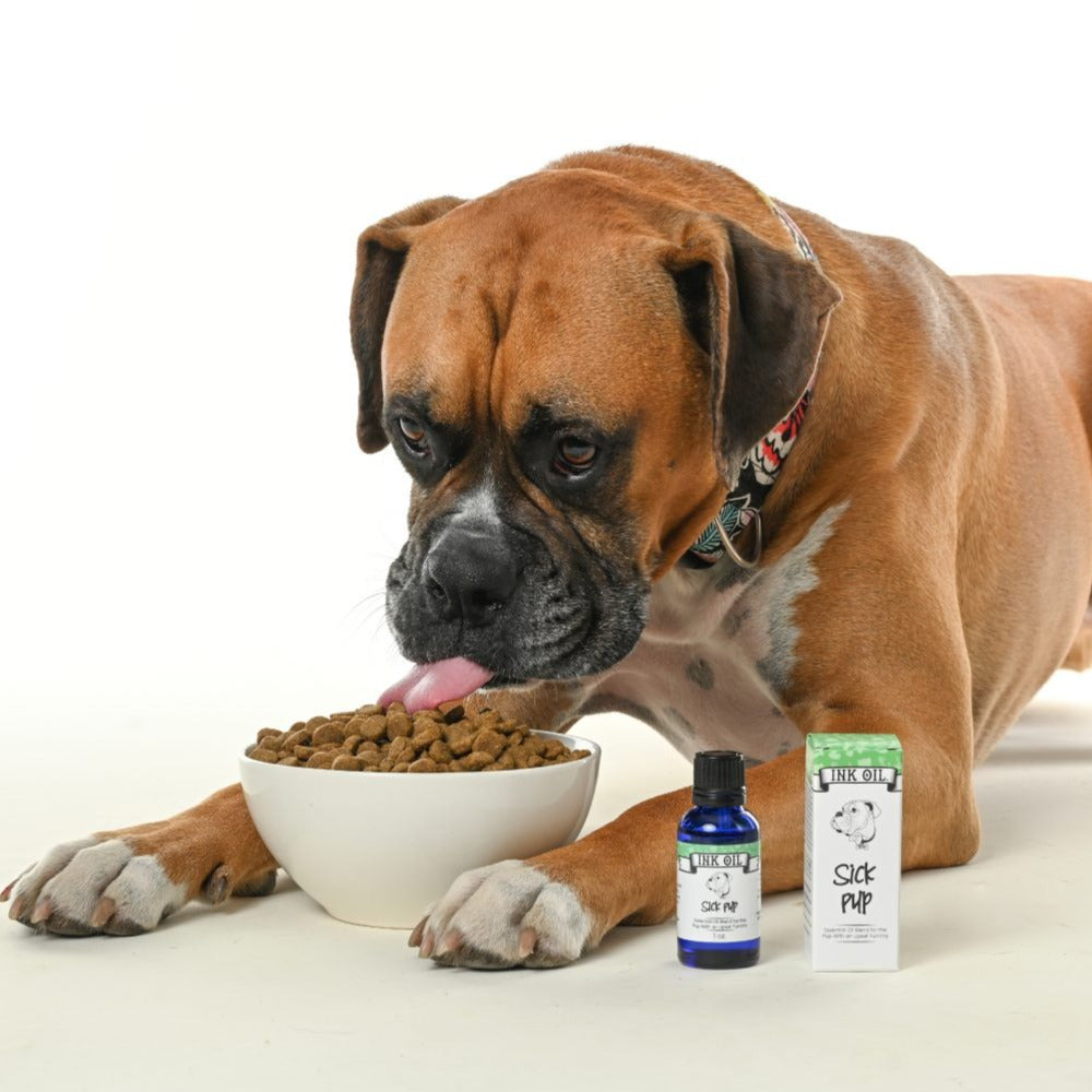 Sick-Pup-Essential-Oils-for-Dogs