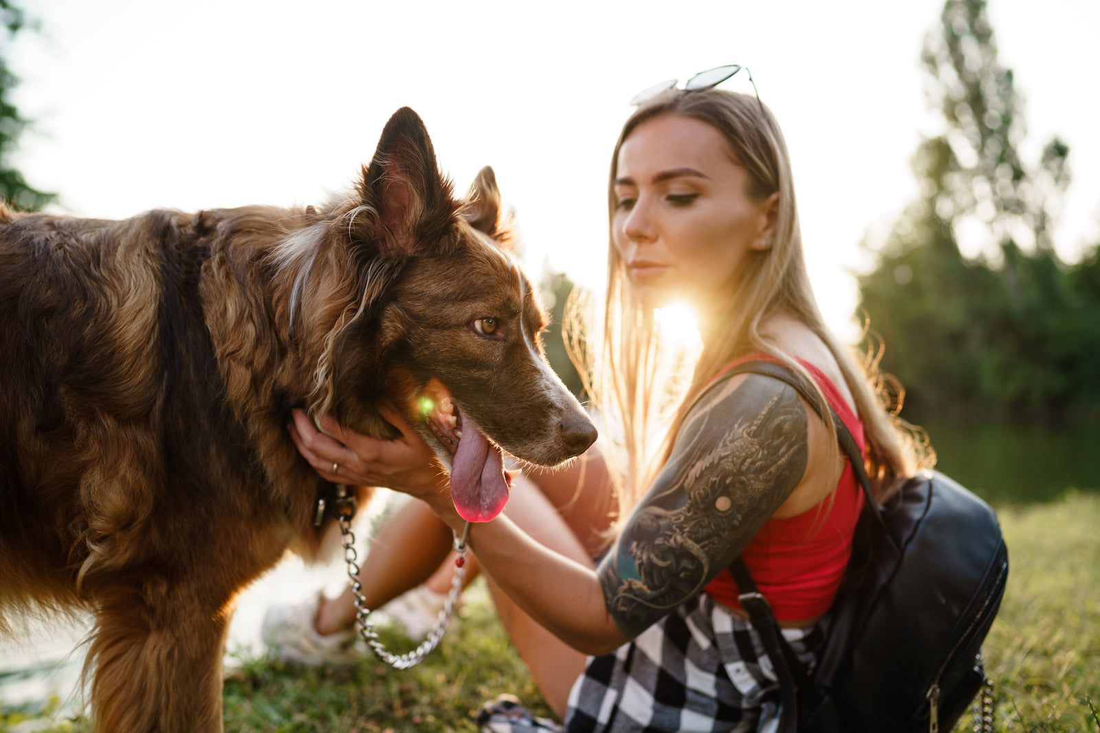 young-beautiful-woman-petting-her-cute-dog-in-park